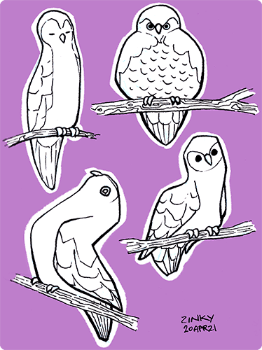Shapely Birds